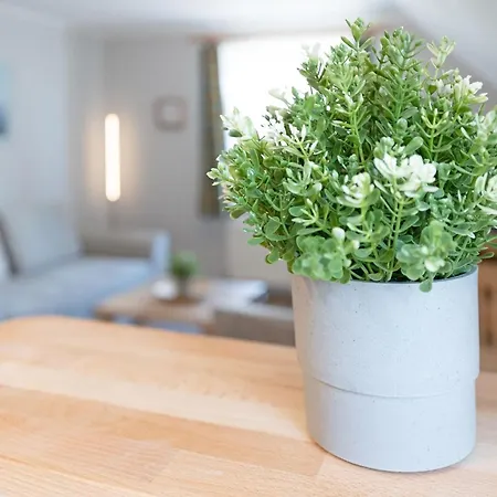 Fahrenkrug Nordlicht *